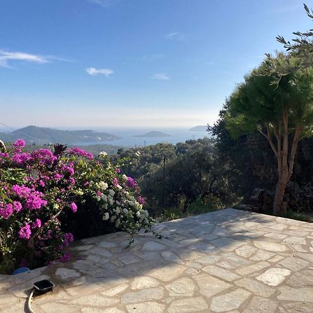 Tierra Villa Skiathos Town Exterior photo