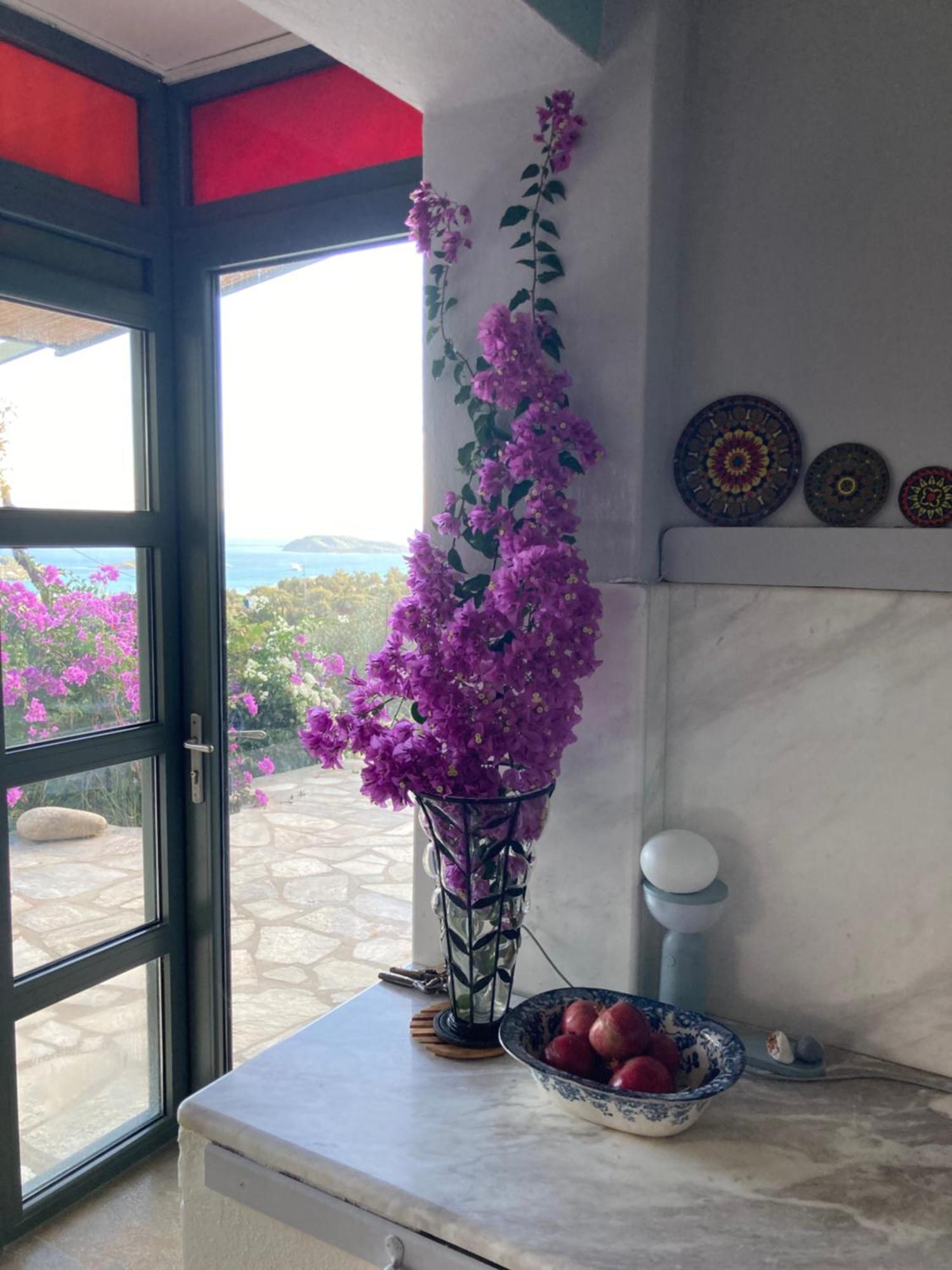 Tierra Villa Skiathos Town Exterior photo