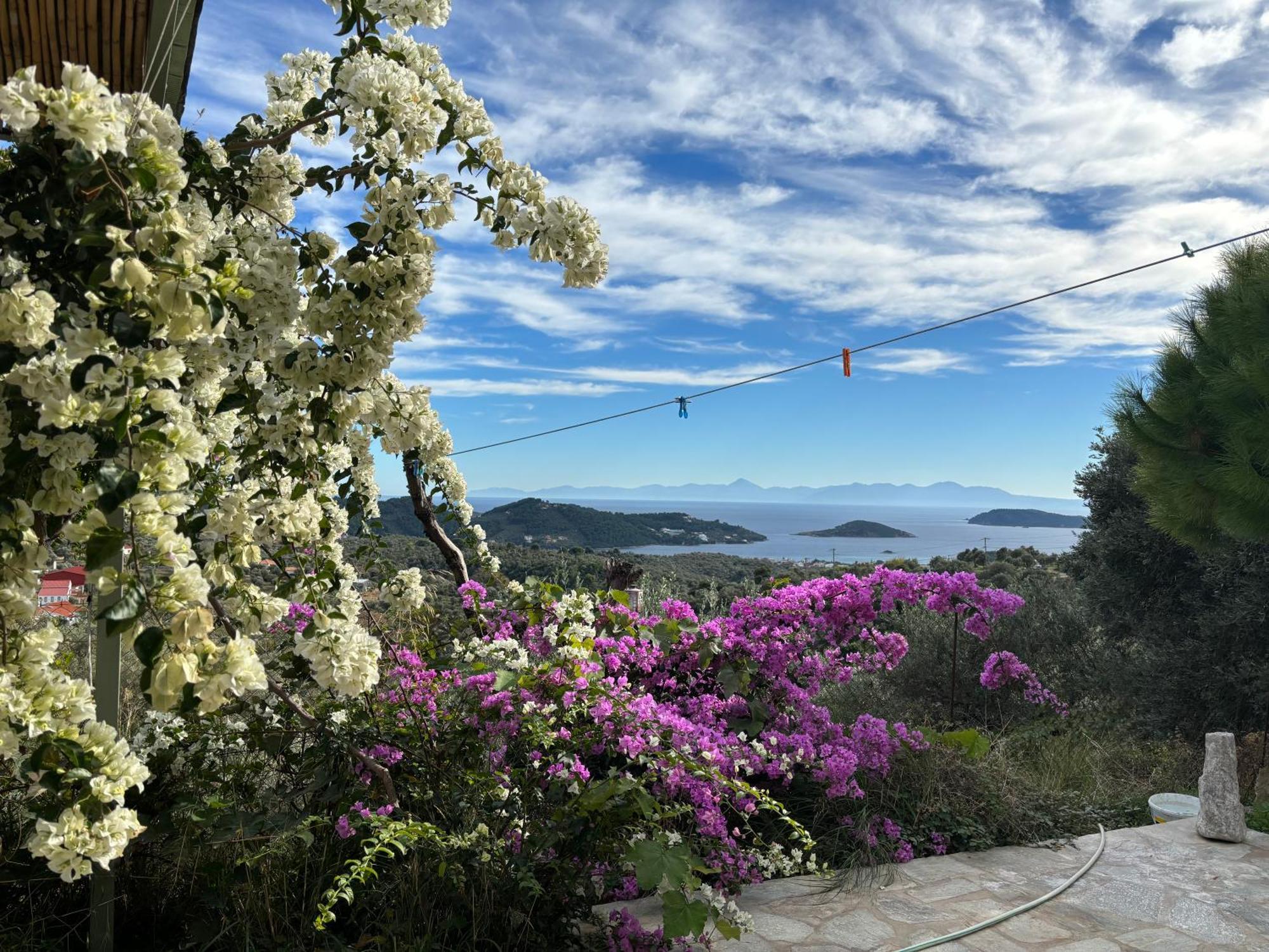 Tierra Villa Skiathos Town Exterior photo