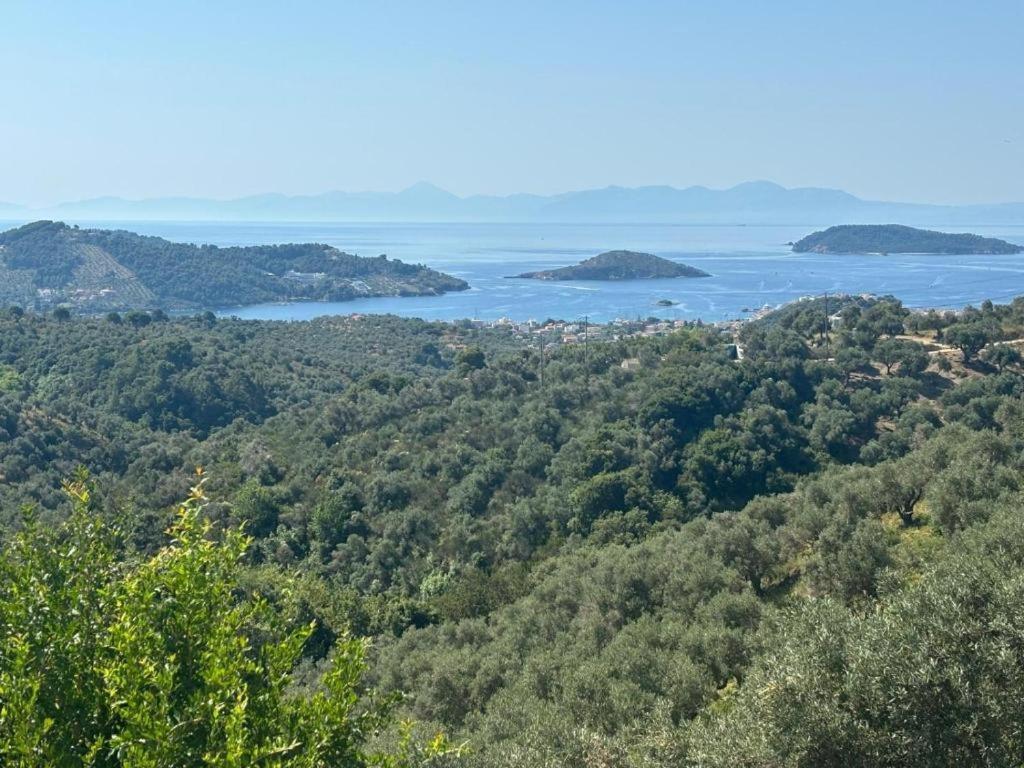 Tierra Villa Skiathos Town Exterior photo