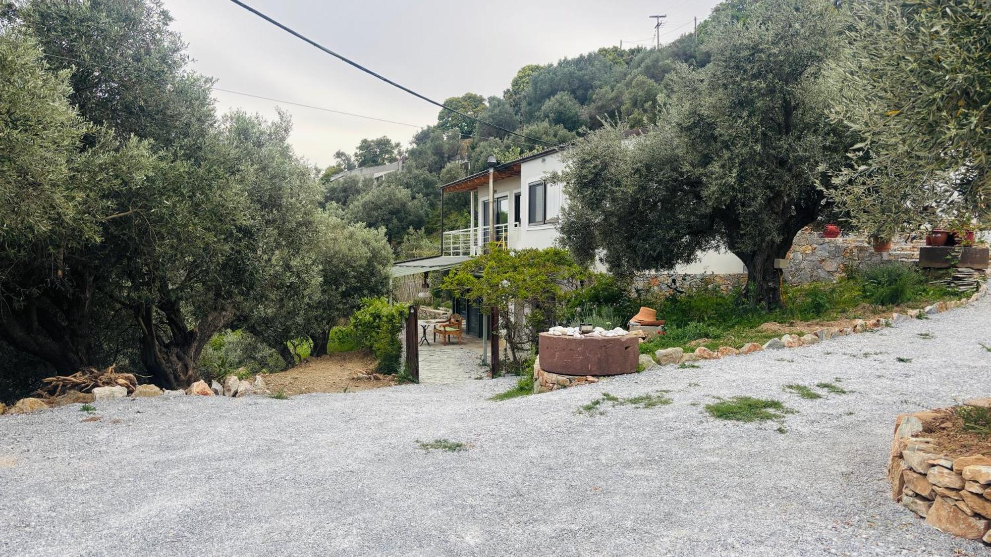 Tierra Villa Skiathos Town Exterior photo